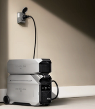 Load image into Gallery viewer, Delta Pro 3 Extra Battery