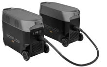 Load image into Gallery viewer, EcoFlow Delta PRO Power Station