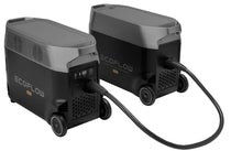 Load image into Gallery viewer, ECOFLOW DELTA PRO Extra Battery