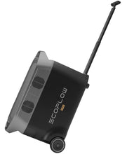 Load image into Gallery viewer, EcoFlow Delta PRO Power Station